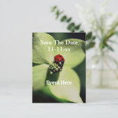 Save The Date Ladybug On Flower Ankündigungspostkarte (Stehend Vorderseite)
