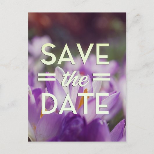 Save the Date Lila Blume Postkarte (Vorderseite)