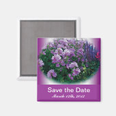 Save the Date, lila Hisbiskus-Blume Magnet (Vorderseite/Rückseite)