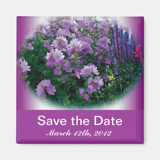 Save the Date, lila Hisbiskus-Blume Magnet (Vorne)