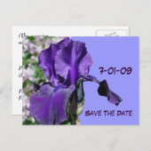 Save the Date Lila Iris Blume Foto Postkarte (Vorne/Hinten)