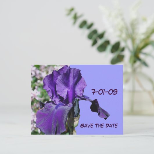 Save the Date Lila Iris Blume Foto Postkarte (Stehend Vorderseite)