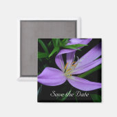 Save the Date Magnet (Vorderseite/Rückseite)