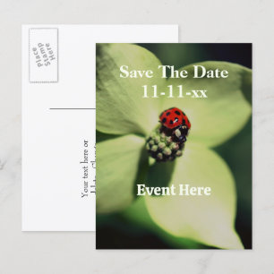 Save The Date Marienkäfer Auf Blüte Ankündigungspostkarte