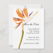 Save the Date mit dem Paradiesvogel (Vorderseite)