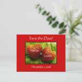 Save the Date mit Erdbeerherzen! Ankündigungspostkarte (Stehend Vorderseite)