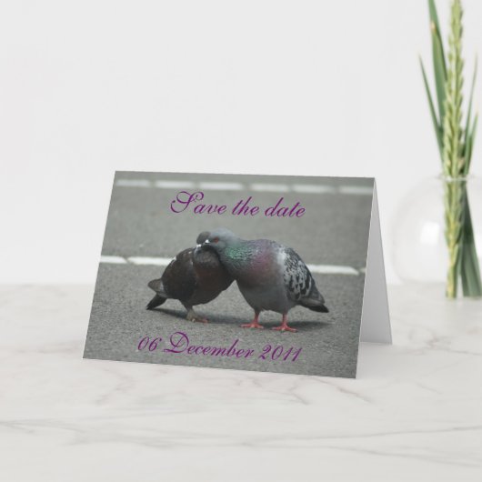 Save the Date mit Tauben Ankündigung (Vorderseite)