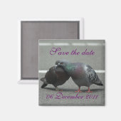 Save the Date mit Tauben Magnet (Vorderseite/Rückseite)