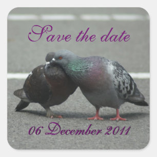 Save the Date mit Tauben Quadratischer Aufkleber