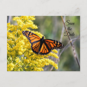 Save the Date Monarch Butterfly Postcard Ankündigungspostkarte