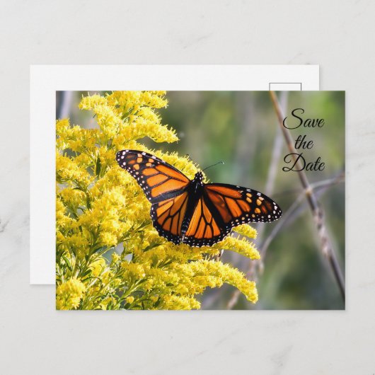 Save the Date Monarch Butterfly Postcard Ankündigungspostkarte (Vorne/Hinten)