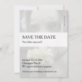 Save the Date: neuer Wurf erwartet Einladung (Rückseite)