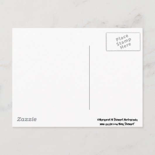 Save the Date - Oder sonst! Ankündigungspostkarte (Rückseite)