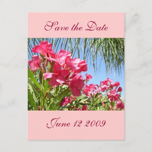 Save the Date Oleander Post Card Ankündigungspostkarte (Vorderseite)