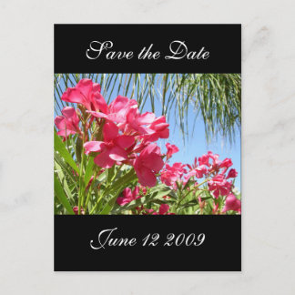Save the Date Oleander Post Card Ankündigungspostkarte