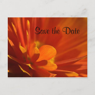 Save the Date orangefarbene Blume Ankündigungspostkarte