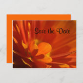 Save the Date orangefarbene Blume Ankündigungspostkarte (Vorne/Hinten)