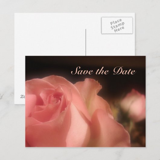 Save the Date - Peach Rose Postkarte (Vorne/Hinten)