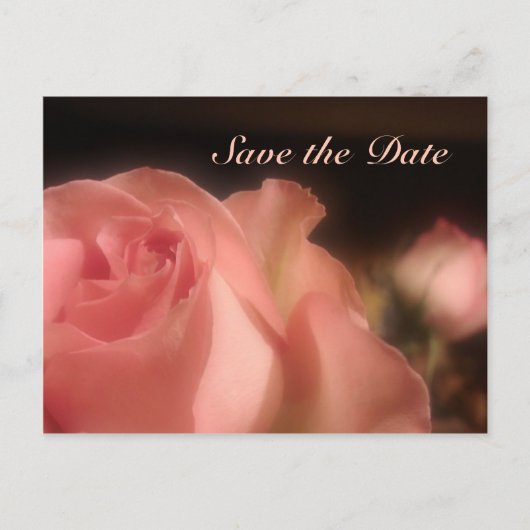Save the Date - Peach Rose Postkarte (Vorderseite)