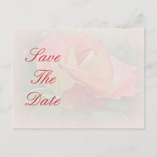 Save the Date - Peachy Rose Blossom Ankündigungspostkarte (Vorderseite)
