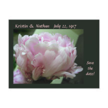 Save the Date Pink Peony Wedding Postcard