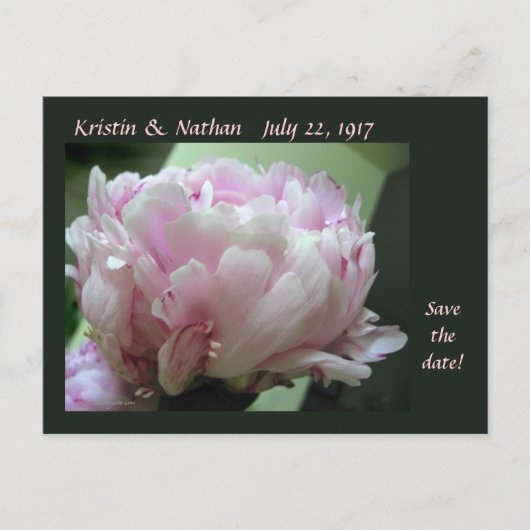 Save the Date Pink Peony Wedding Postcard Ankündigungspostkarte (Vorderseite)