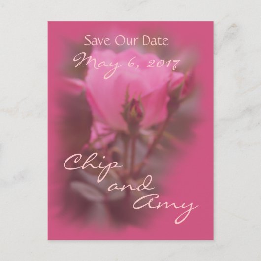 Save the Date Pk Knockout-Rose Ankündigungspostkarte (Vorderseite)