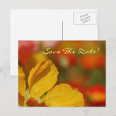 Save the Date Poppy Postkarte (Vorne/Hinten)