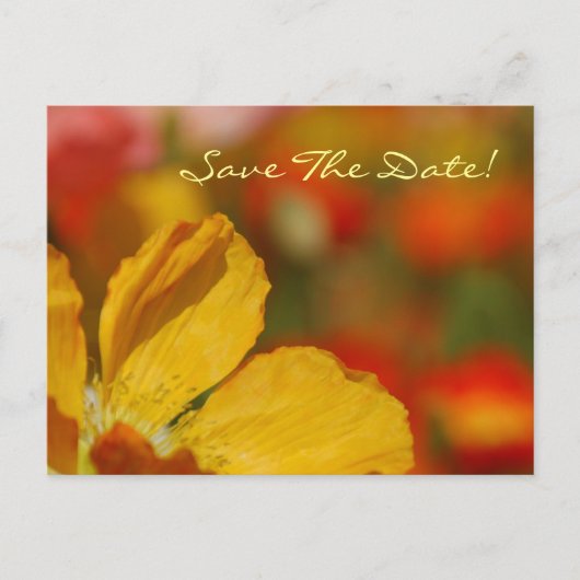 Save the Date Poppy Postkarte (Vorderseite)