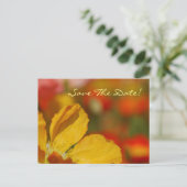 Save the Date Poppy Postkarte (Stehend Vorderseite)