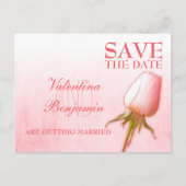 Save the Date Postcard Single Rosa Bug Rose Ankündigungspostkarte (Vorderseite)