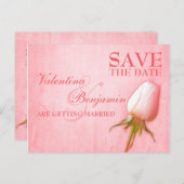 Save the Date Postcard Single Rosa Bug Rose Ankündigungspostkarte (Vorne/Hinten)