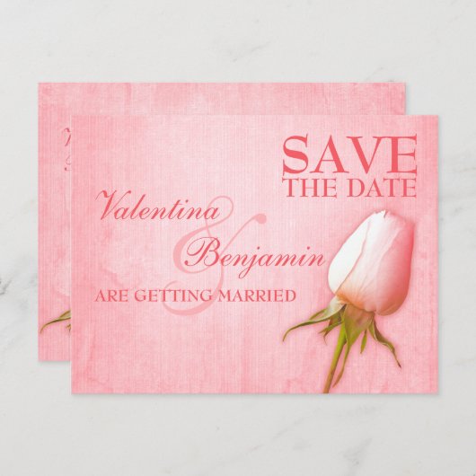 Save the Date Postcard Single Rosa Bug Rose Ankündigungspostkarte (Vorne/Hinten)