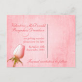 Save the Date Postcard Single Rosa Bug Rose Ankündigungspostkarte (Rückseite)