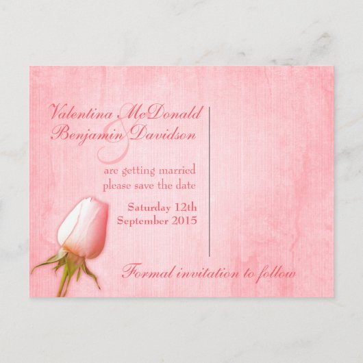 Save the Date Postcard Single Rosa Bug Rose Ankündigungspostkarte (Rückseite)