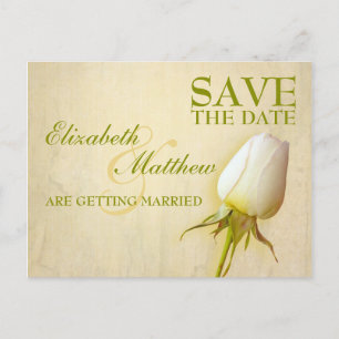 Save the Date Postcard Single White Rose Bud Ankündigungspostkarte