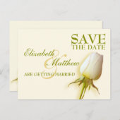 Save the Date Postcard Single White Rose Bud Ankündigungspostkarte (Vorne/Hinten)