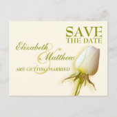 Save the Date Postcard Single White Rose Bud Ankündigungspostkarte (Vorderseite)