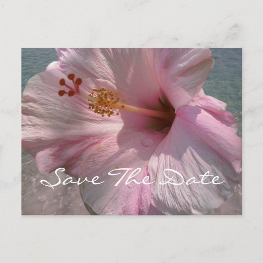 Save the Date Postcard - Tropical Beach Wedding Ankündigungspostkarte (Vorderseite)