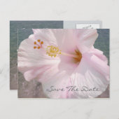 Save the Date Postcard - Tropical Beach Wedding Ankündigungspostkarte (Vorne/Hinten)