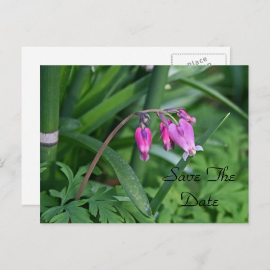 Save the Date Postkarte (Vorne/Hinten)