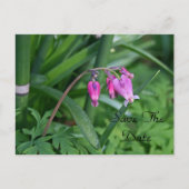 Save the Date Postkarte (Vorderseite)