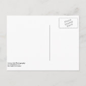 Save the Date Postkarte (Rückseite)