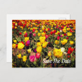 Save the Date Postkarte (Vorne/Hinten)