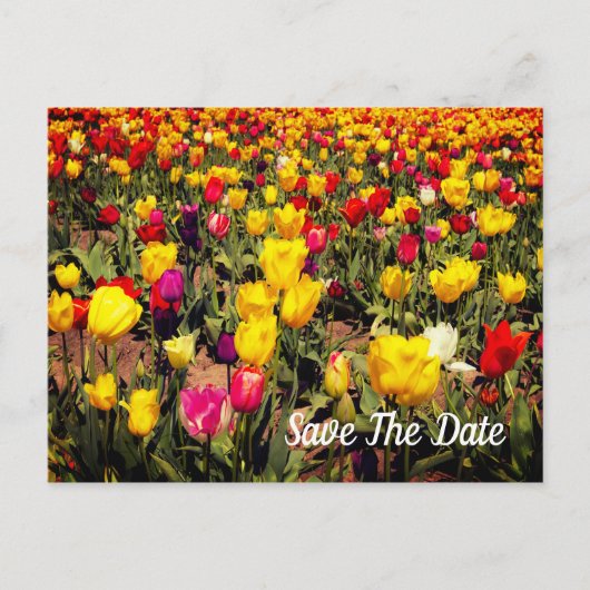 Save the Date Postkarte (Vorderseite)