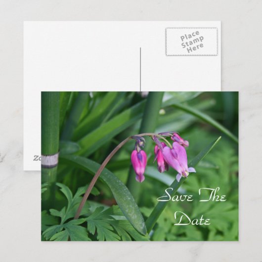 Save the Date Postkarte (Vorne/Hinten)