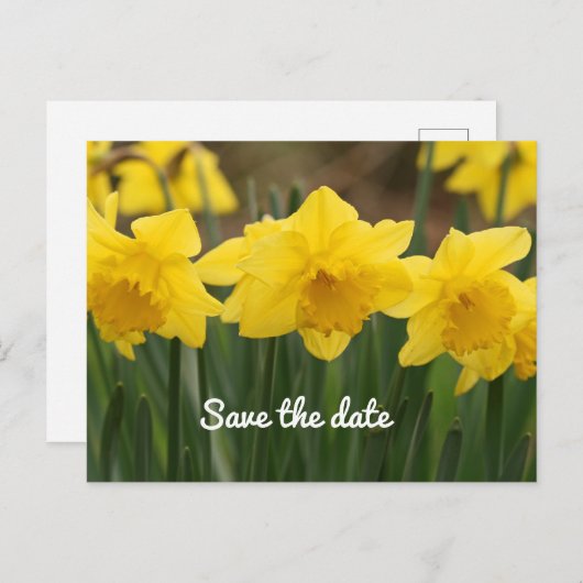 Save the Date Postkarte (Vorne/Hinten)