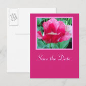 Save the Date - Postkarte (Vorne/Hinten)