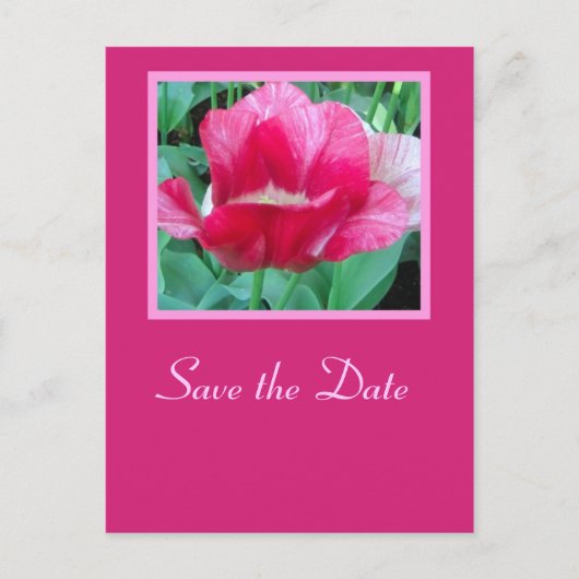 Save the Date - Postkarte (Vorderseite)