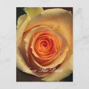 Save the Date Postkarte